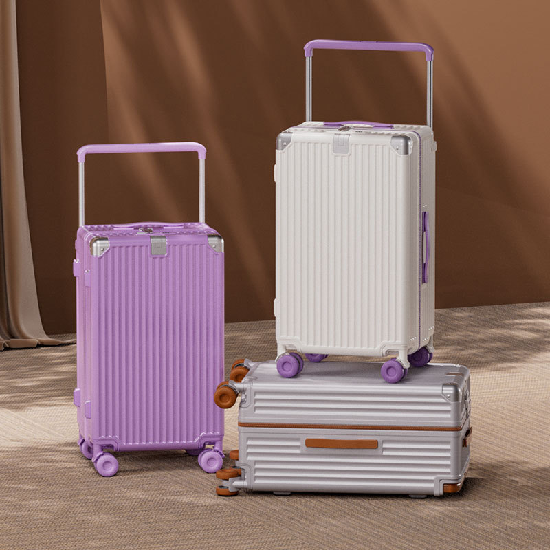 Spinner Wheel Rolling Suitcase 20 Inch - Mala de viagem com alça extensível